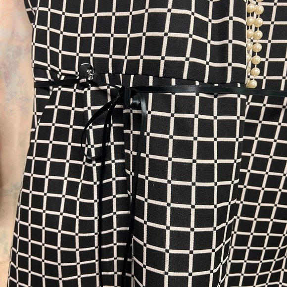 NWT๐Shelby & Palmer Dash - Dot Clean Lines Work to Weekend Dress with Pockets - Picture 7 of 16